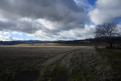 DSC_2881 (Large).JPG